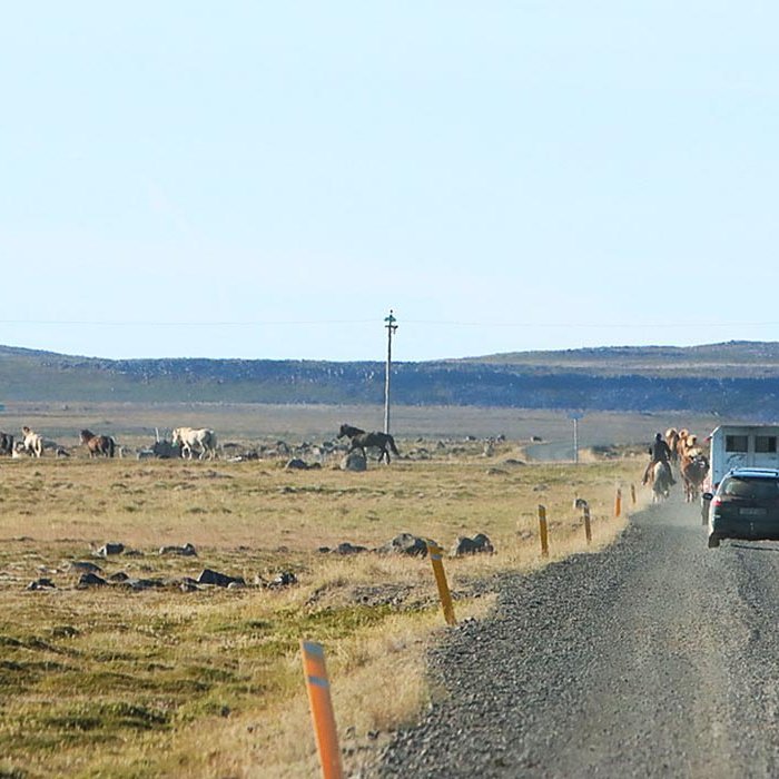 Ekið á Skaga. Myndin tengist fréttinni ekki beint. MYND: ÓAB