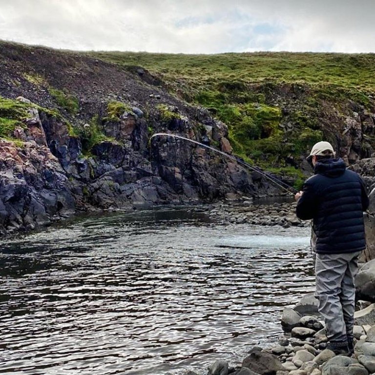 Veitt í Miðfjarðará. MYND AF HÚNA.IS