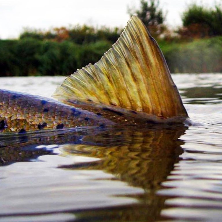 Veuðimennskan er ekkert grín. MYND AF FB