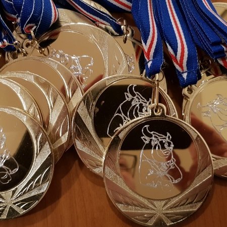 Afrakstur Jólamóts Molduxa sem ekki fór fram rúm hálf milljón