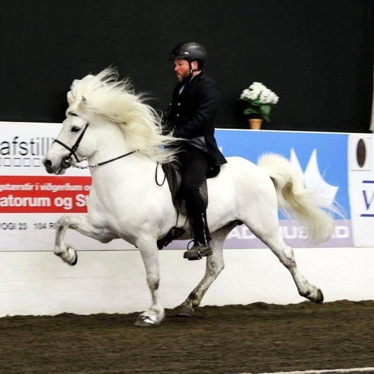 Mynd af FB-síðu Skagfirðings.