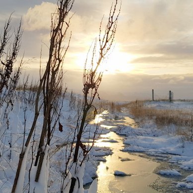 Ofankomur sem ekki þarf að æsa sig yfir