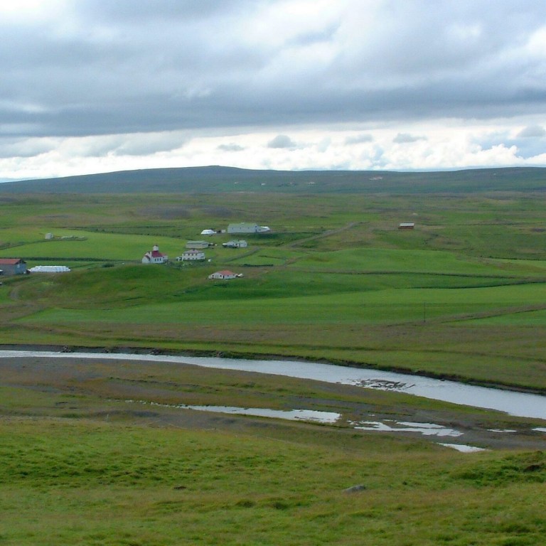 16 laxar úr Víðidalsá