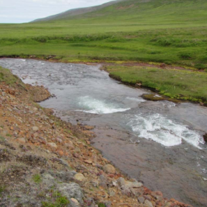 Bergá á Víðidalstunguheiði. Mynd: hunathing.is