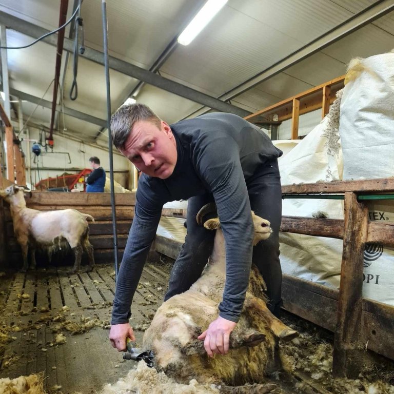 Af gefnu tilefni skal tekið fram að þessi mynd er EKKI sviðsett. Mynd: Af facebook.