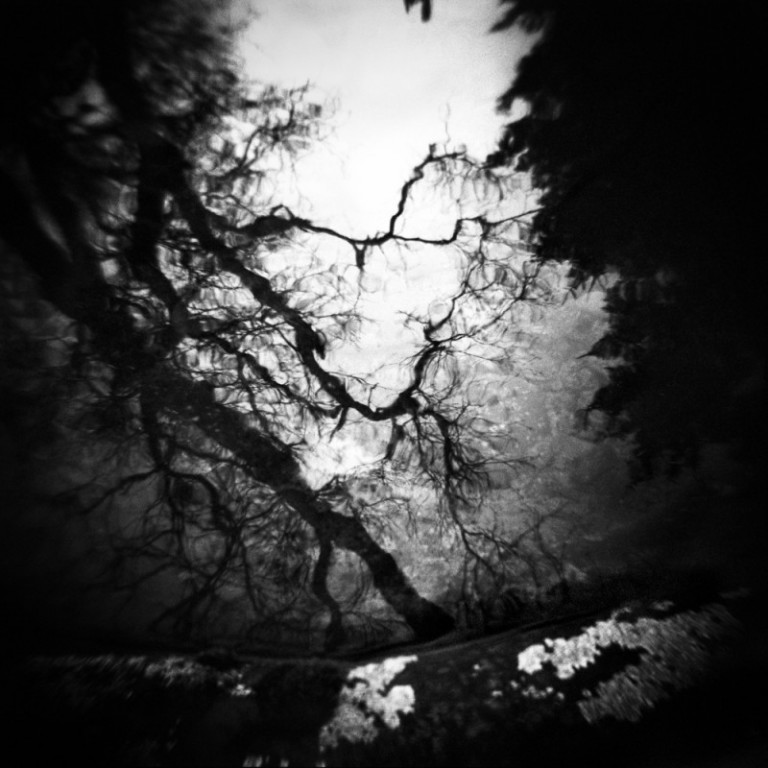 Ljósmynd eftir Vigdísi