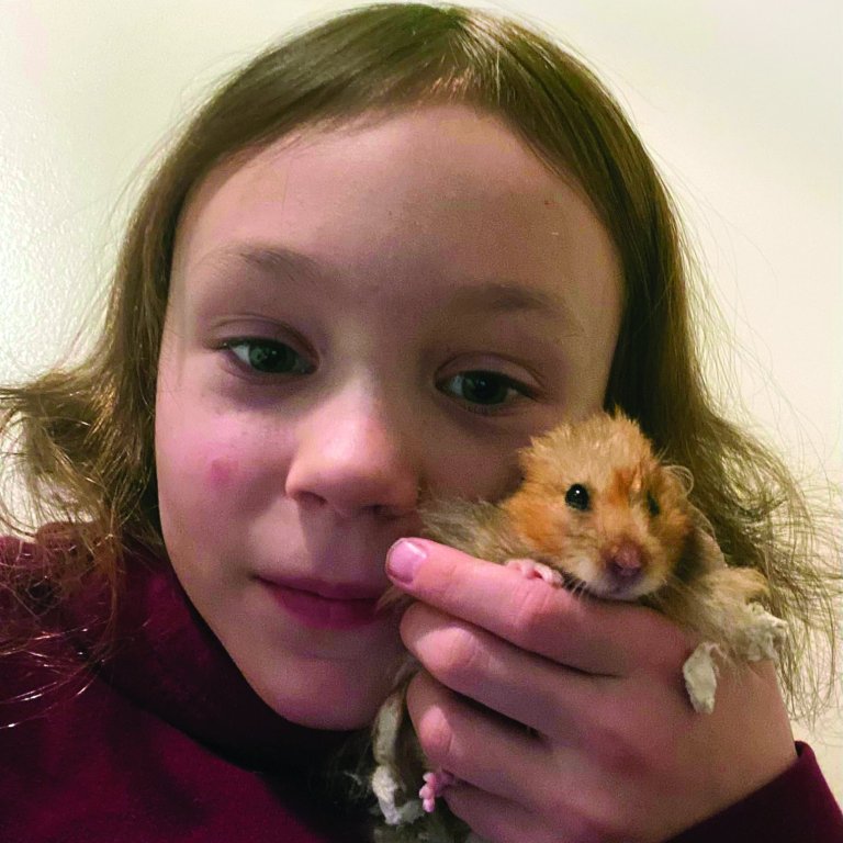 Viktoría Rán knúsar hamsturinn Dúllu. AÐSEND MYND