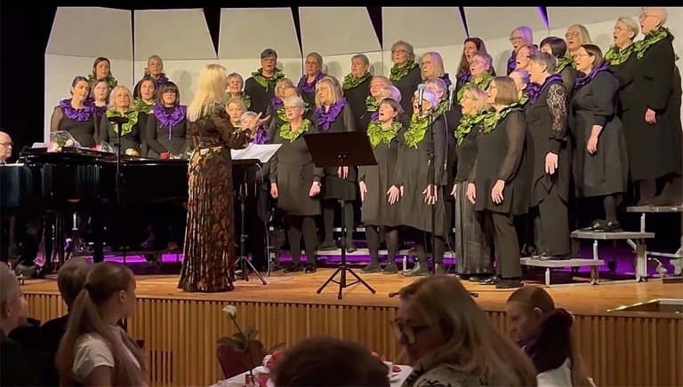 Norðurljósatónleikarnir í Miðgarði