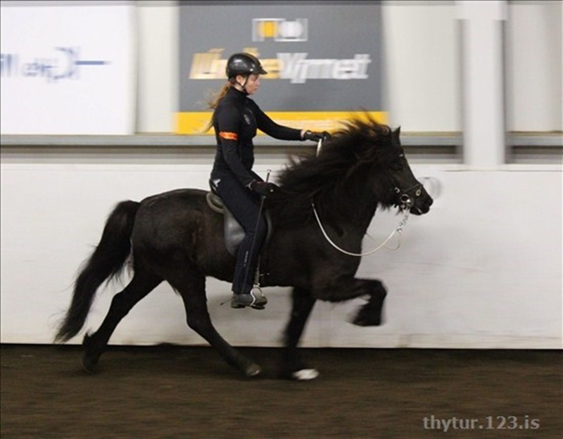 Þriðja keppniskvöld vetrarins í Húnvetnsku liðakeppninni var á föstudagskvöldið. Mynd: thytur.123.is/