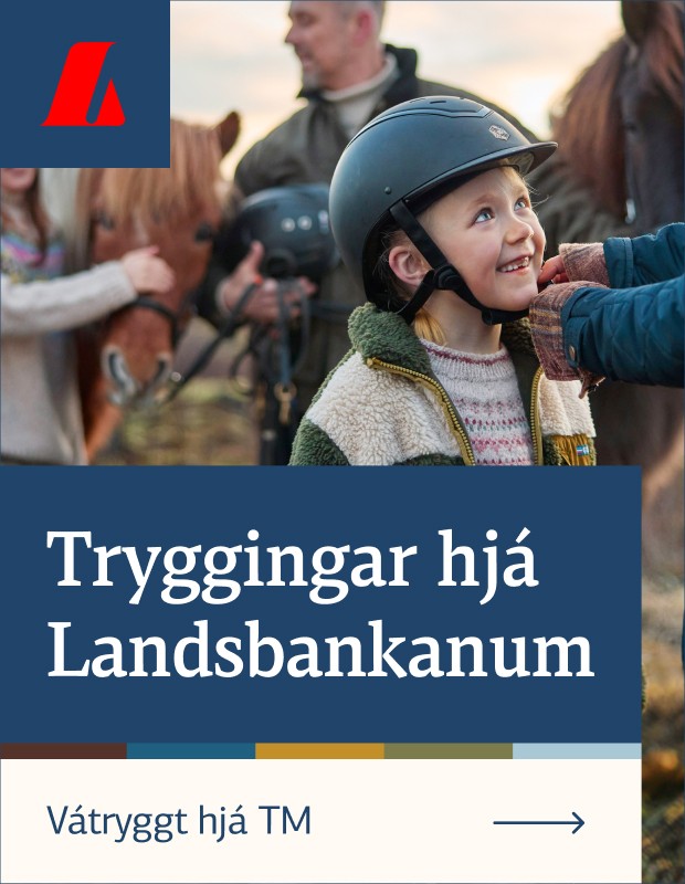 landsbanki4